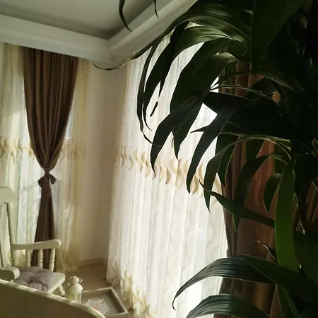 Sky City 25th & 33th Floor With Pool & Spa & Fitness & Parking Including In Price *